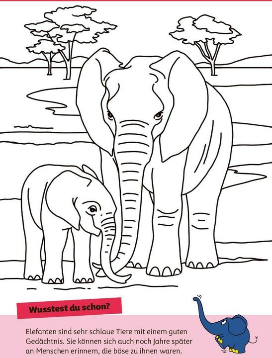 Image du produit Die Maus - Malblock mit Sachwissen Natur und Tiere (Allemand, pen2nature, 2024)
