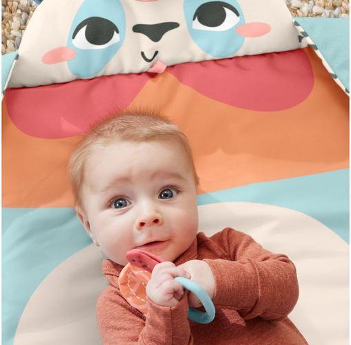 Immagine prodotto Fisher-Price 0