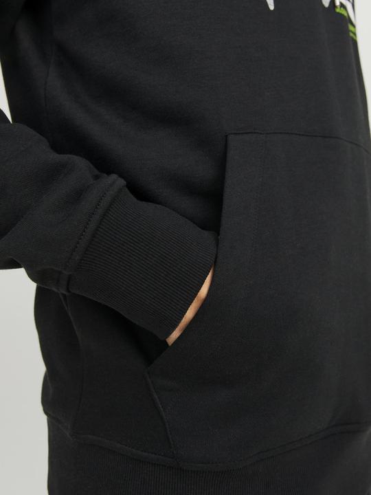 Image du produit Jack & Jones Sweat à capuche (XL)