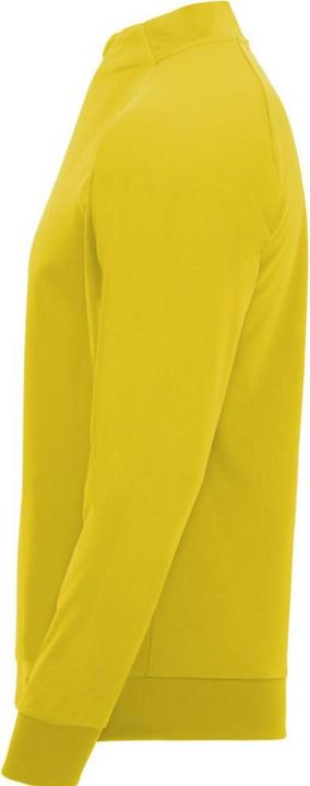 Immagine prodotto Alpinia Epiro Felpa Cerniera ad un quarto Manica Lunga Adulto Unisex (L)