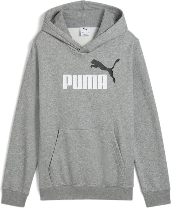 Puma ESS 2 COLOR No. 1 Logo Hoodie FL B