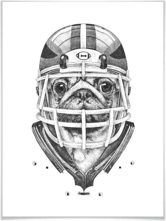 Produktbild Trenddeko American Pug Football (80 x 100 cm)