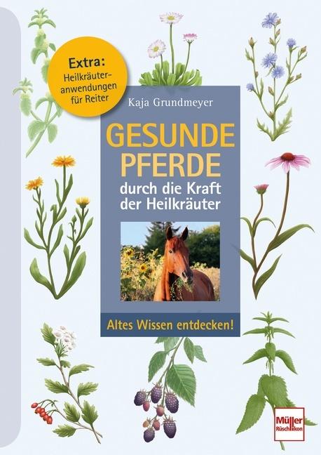 Actual product image Gesunde Pferde durch die Kraft der Heilkräuter (German, Kaja Grundmeyer, 2022)