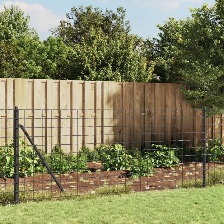 Immagine prodotto VidaXL Maschendrahtzaun mit Bodenhülsen Anthrazit 1x25 m