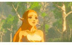Image du produit Nintendo La légende de Zelda : le souffle de la nature (Switch, EN)