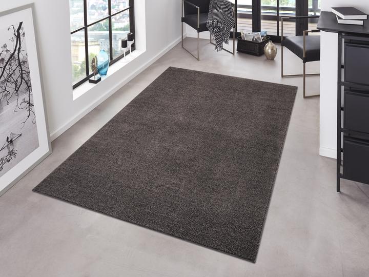 Actual product image Hanse Home Pure (200 x 300 cm)