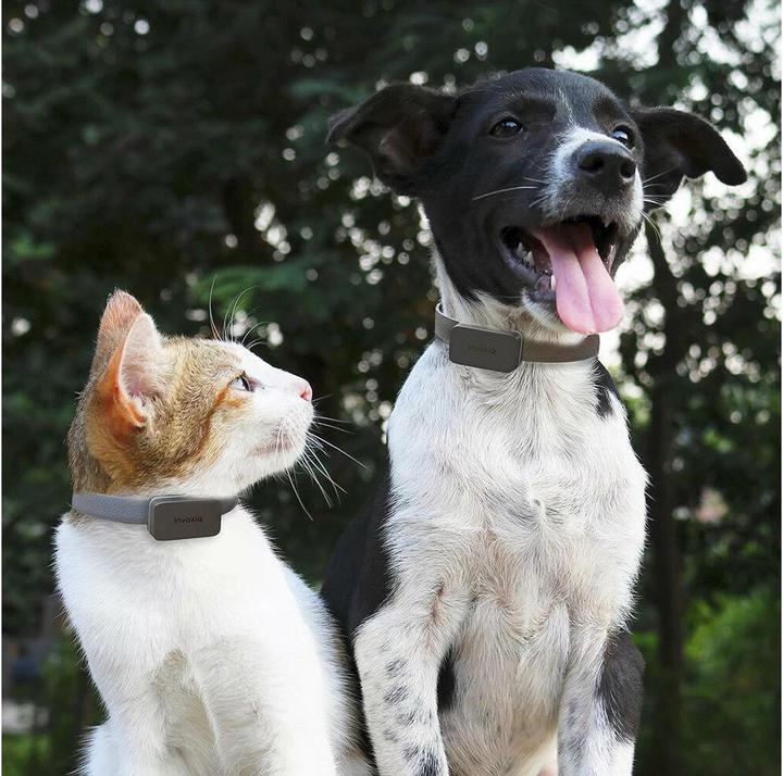 Productafbeelding Invoxia GPS Tracker voor huisdieren (Hond, Kat, Algemeen)
