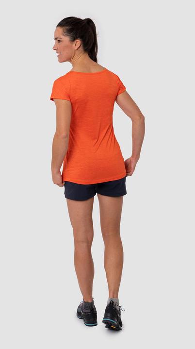 Image du produit Salewa Puez Durastretch Cargo Shorts Da (38, L)