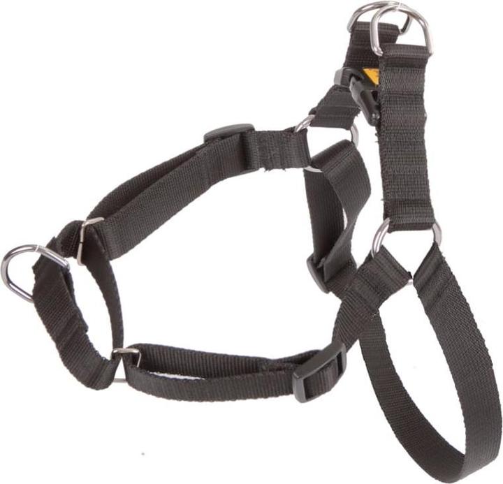 Immagine prodotto Red Dingo DINGO Easy Walk - Pettorina per cani - 95-125 cm (Cane, Generale)