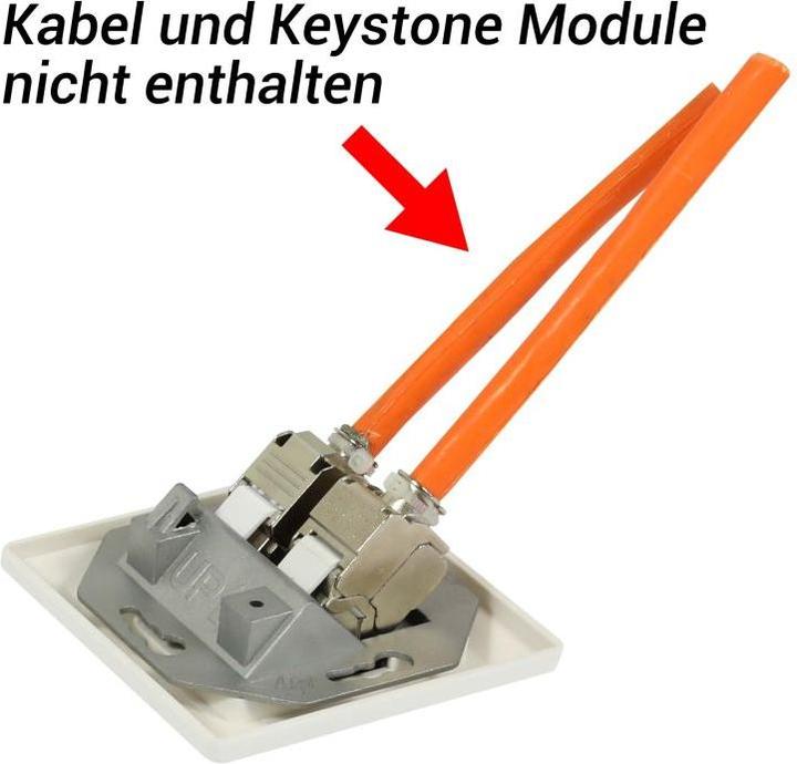 Actual product image Synergy 21 Keystone, module support, flush-mounted boxes for 2xTP module, pure white, angular outer frame