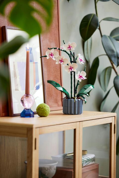 Image du produit LEGO Orchidée (10311, LEGO Botanical)