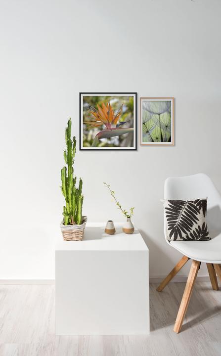 Produktbild Nielsen Accent (30 x 40 cm)