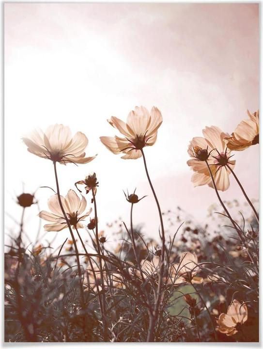 Actual product image Trenddeko Wild meadow (40 x 50 cm)