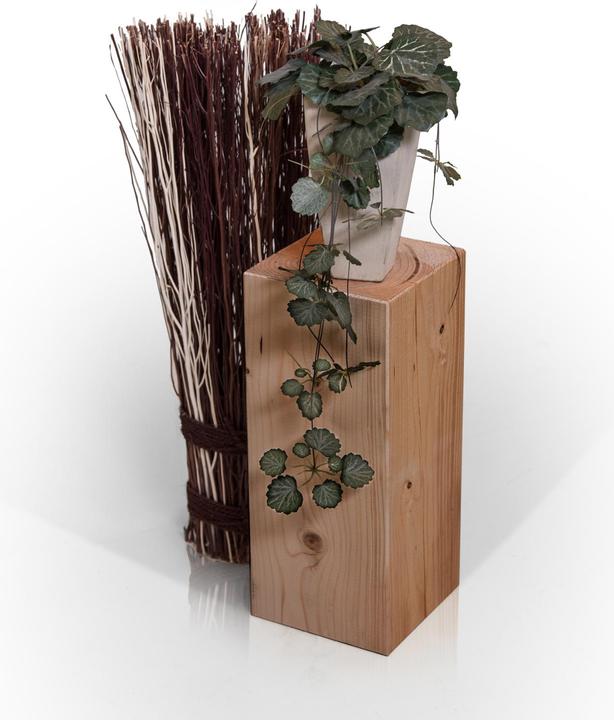 Immagine prodotto Möbel-Eins Colonne di fiori