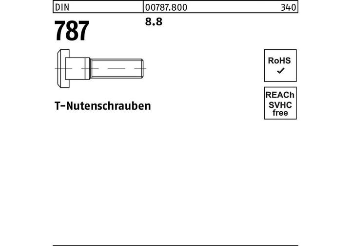 Actual product image T-bolt DIN 787 12 M 12 x 50 8.8