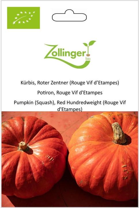 Image du produit Zollinger Bio Courge, Quintal Rouge (Rouge Vif d'Étampes)
