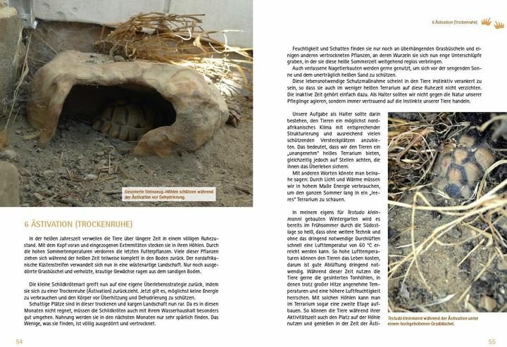 Productafbeelding Testudo kleinmanni (Duits, Christine Dworschak, 2018)