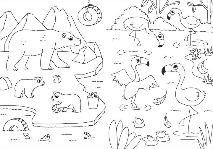 Actual product image Tessloff My most beautiful colourful colouring book. Zoo animals