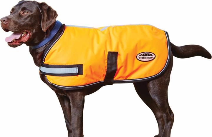 Produktbild Weatherbeeta Comfitec Reflektierender Parka 300D Hundemantel (30, Hundemantel)