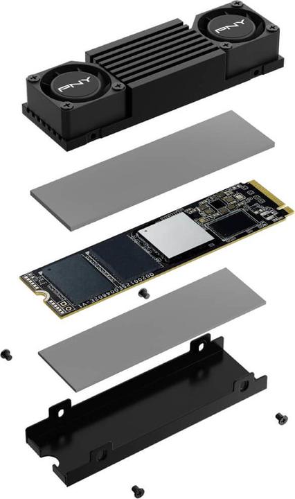 Actual product image PNY CS3150 (2000 GB, M.2 2280)