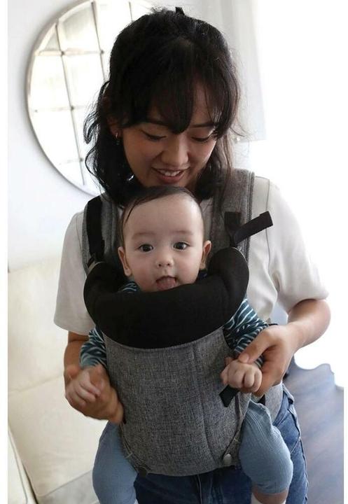 Actual product image Dreambaby Baby carrier Journey grey mottled