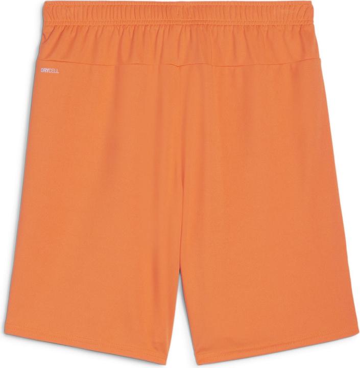 Actual product image Puma teamGOAL shorts (3XL)