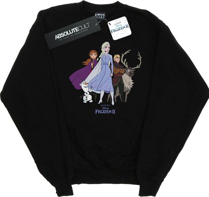 Image du produit Disney - Sweat FROZEN GROUP - Homme (XL)