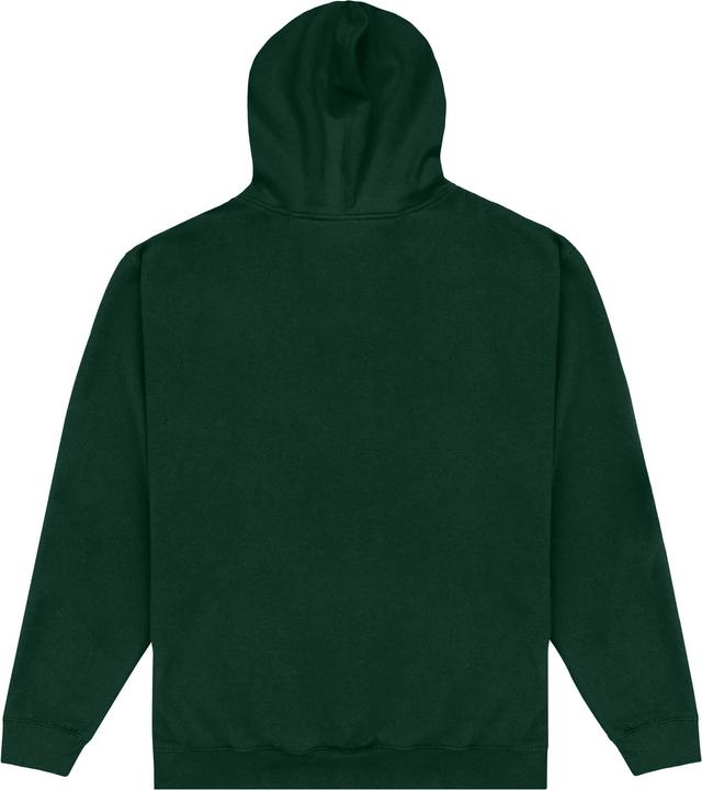 Actual product image Unisex Adult Athletic Hoodie (S)