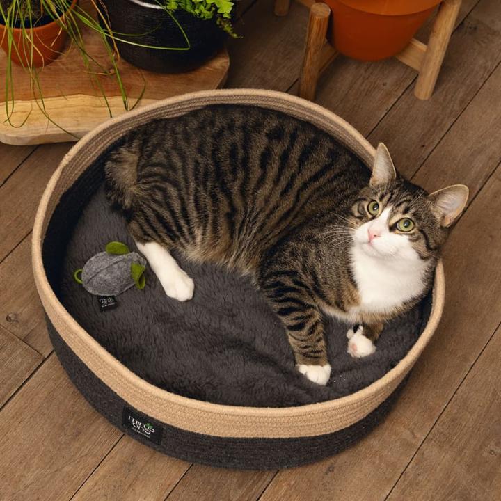 Actual product image Beeztees Xana (Cat)