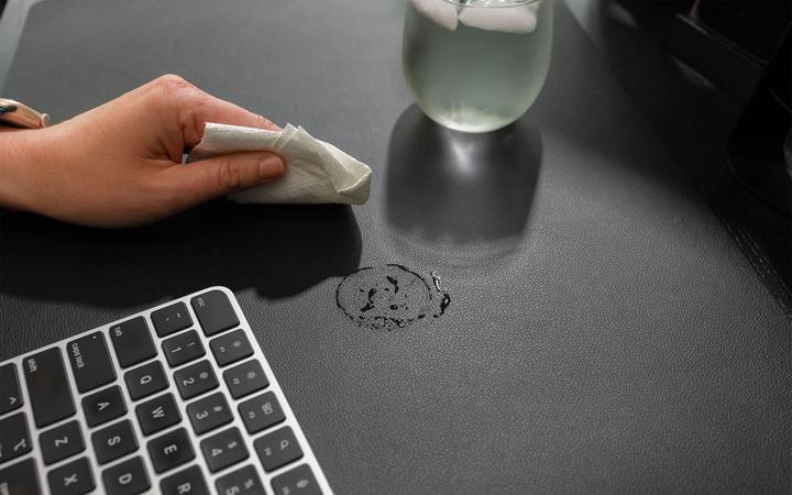 Actual product image TwelveSouth DeskPad (Wide)