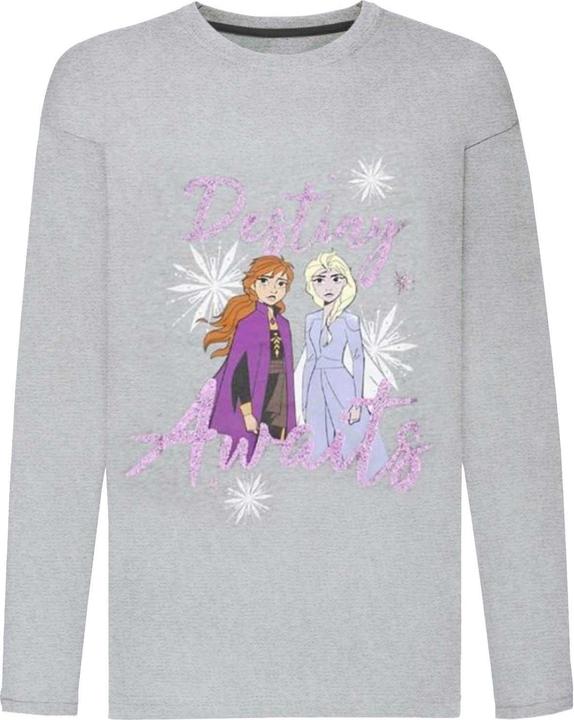 Actual product image Disney Frozen Destiny Awaits Top Girls (128)