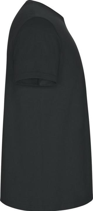 Image du produit Alpinia - T-shirt STAFFORD - Homme (S)