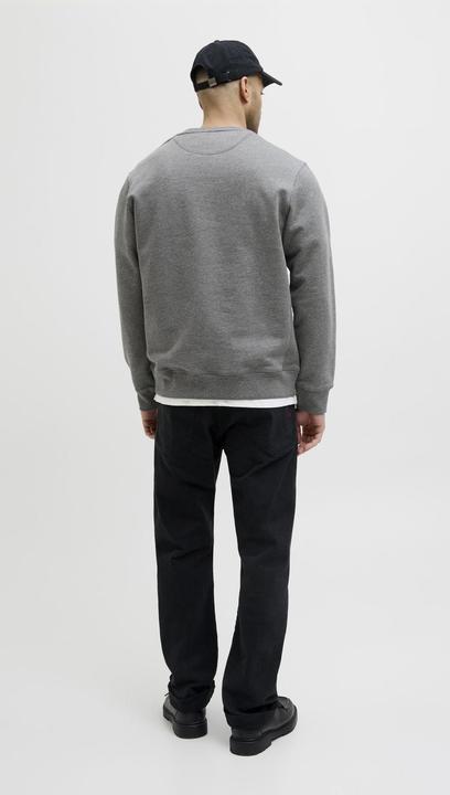 Actual product image Jack & Jones RDD Logo Sweatshirt Sweatshirt (L)