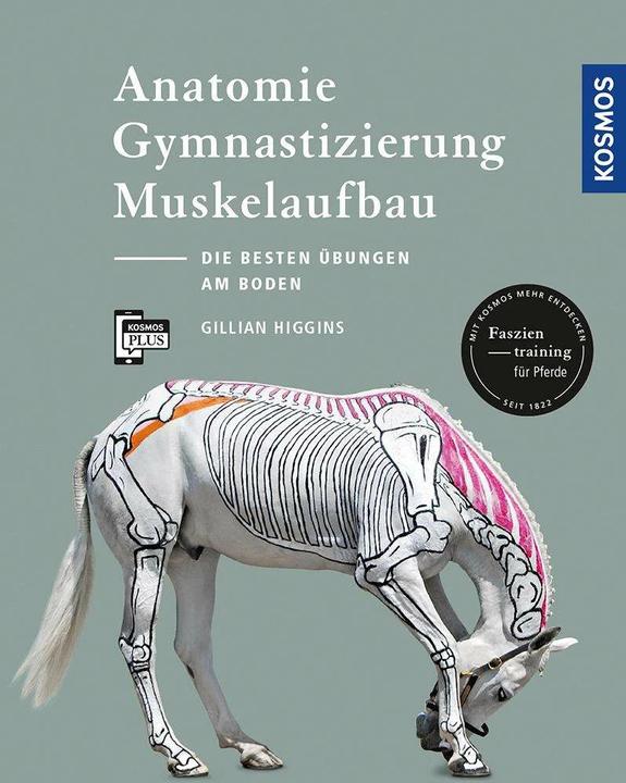 Produktbild Kosmos Anatomie, Gymnastizierung, Muskelaufbau (Deutsch, Gillian Higgins, 2017)