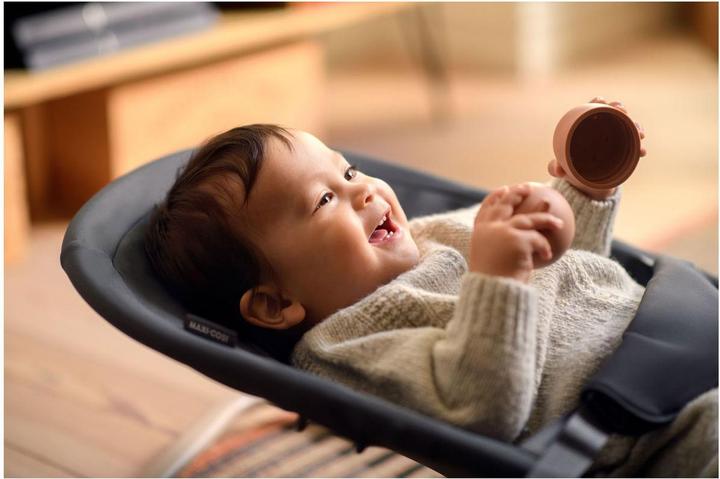 Produktbild Maxi-Cosi Loa Babywippe Beyond Grey Eco