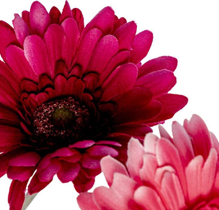Actual product image DPI Gerbera (56 cm)