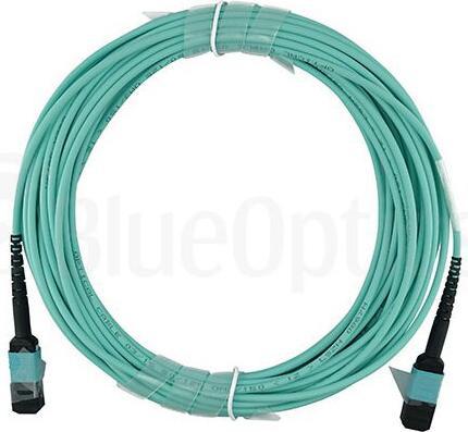Image du produit BlueOptics Allied Telesis AT-MTP12-30 Câble de brassage compatible MTP-MTP multimode OM3 30 mètres (CAT7a, 30 m)
