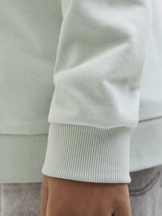 Actual product image Jack & Jones Jcologan Ss24 Print Sweat Hood Sn Jnr (128)