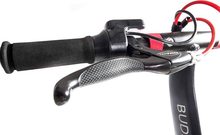 Actual product image Sxt Buddy V2 (20 km/h, 650 W)
