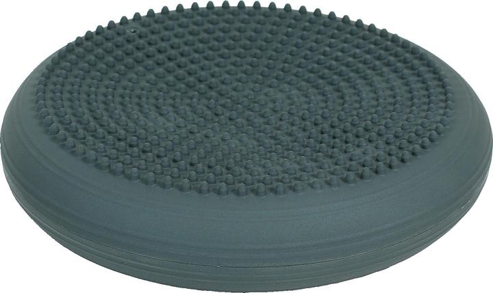Image du produit Togu Dynair coussin de balle Senso 33 cm