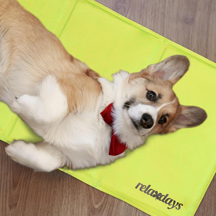 Produktbild Relaxdays Kühlmatte Hund (Hund)