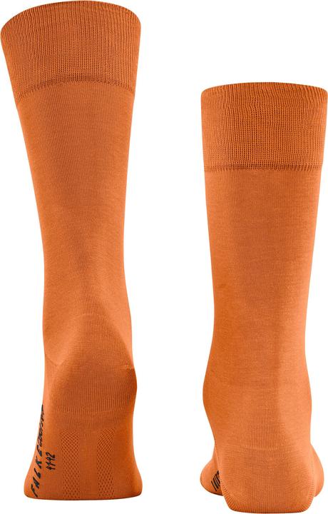 Immagine prodotto Falke Uomini cool 24/7 (39 - 40)