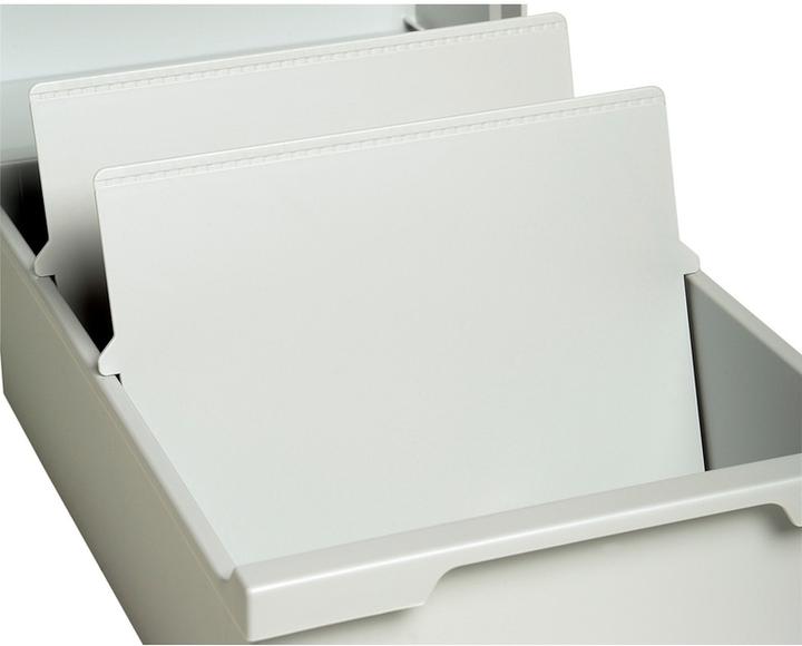 Image du produit Exacompta Intercalaire DIN A4 horizontal - Gris lumière (A4)