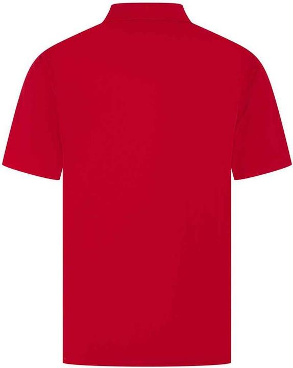 Immagine prodotto Henbury Maglietta Polo Uomo (S)
