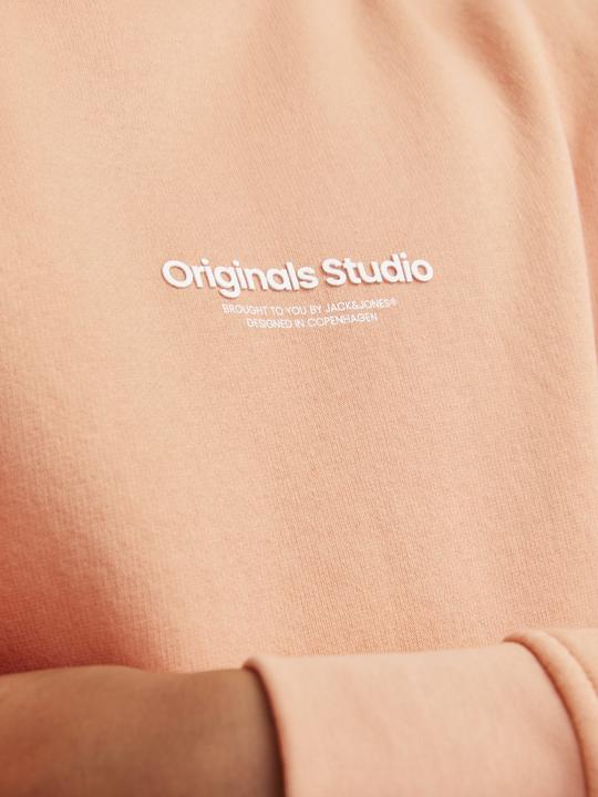 Immagine prodotto Jack & Jones Jorvesterbro Sweat Crew Neck Bn Mni (116)