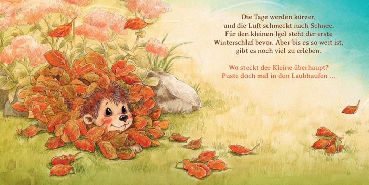 Produktbild Schlaf schön, kleiner Igel (Mini-Ausgabe) (Deutsch, Sophie Schoenwald, 2021)