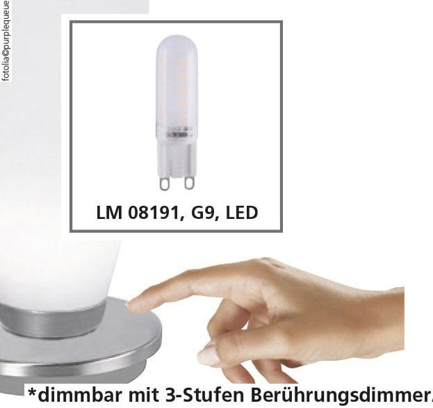 Image du produit Paul Neuhaus acier Lampe de table à LED (245 lm, G9)