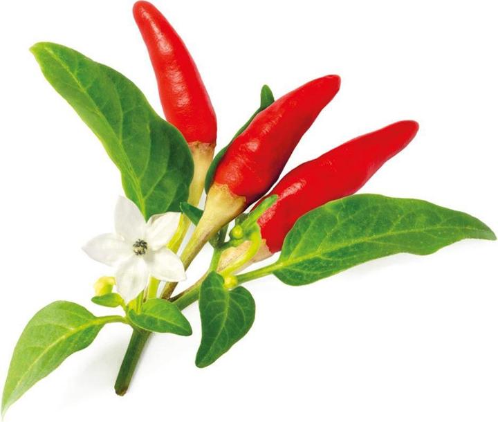 Produktbild Click and Grow Saatgut Roter scharfer Chili (Gemüsesamen)