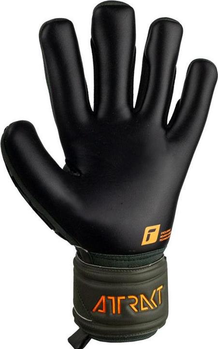 Immagine prodotto Reusch Attrazione Freegel Argento (8.5)