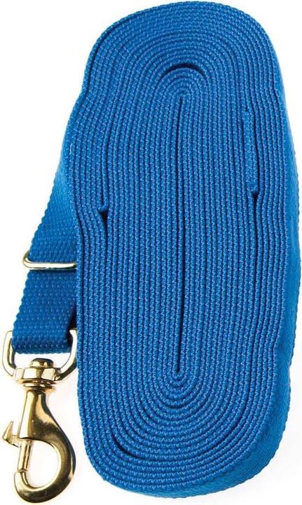 Actual product image Kincade Long reins for horse riding